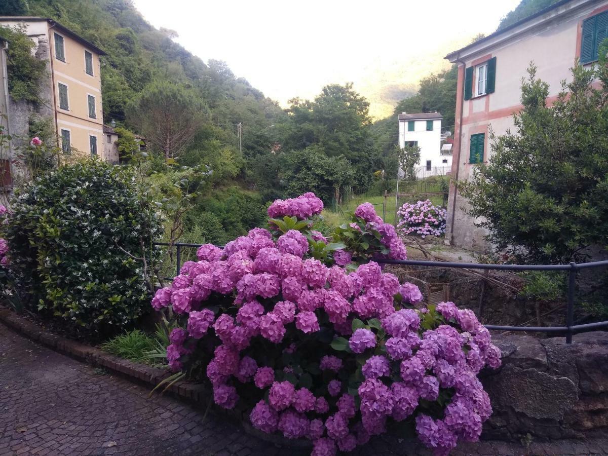 Appartamento Arredato Uso Turistico "La Nocciola" Mezzanego Bagian luar foto